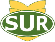 SUR Wronki logo