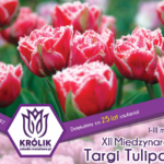 2 maja w Chrzypsku na Targach Tulipanów