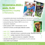 Gminny Festyn dla Dzieci i Młodzieży w Wartosławiu – dziś od 14.30