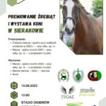 Premiowanie źrebiąt i wystawa koni w Sierakowie 19 sierpnia